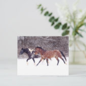 Winterschneepferde im Stall Postkarte (Stehend Vorderseite)