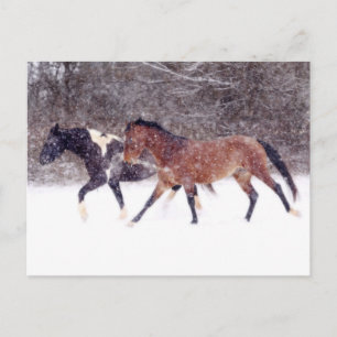 Winterschneepferde im Stall Postkarte