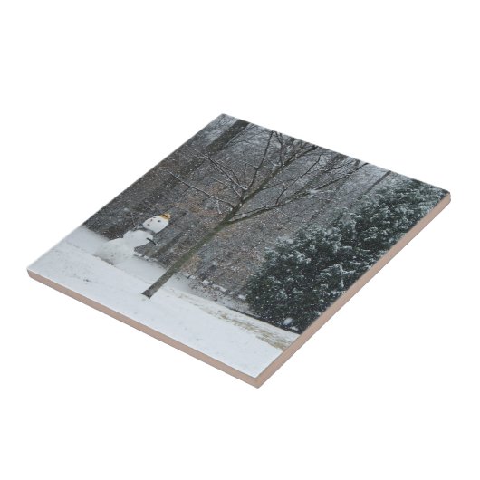 Winterschneeszene der Nachbarin Fliese (Seite)