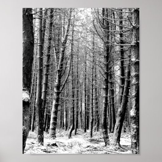 Winterschneewald Poster (Vorne)