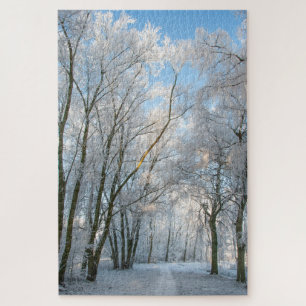 Winterschneewaldweg, 1014 Stück Jigsaw Puzzle