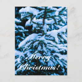 Winterschneeweihnachtsbaum Feiertagspostkarte