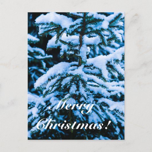 Winterschneeweihnachtsbaum Feiertagspostkarte (Vorderseite)