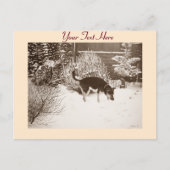 Winterschneewelt mit niedlichem Schwarz und Bräunl Postkarte (Vorderseite)