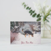 Winterschneewelt mit niedlichem Schwarz und Bräunl Postkarte (Stehend Vorderseite)