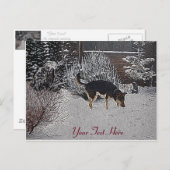 Winterschneewelt mit niedlichem Schwarz und Bräunl Postkarte (Vorne/Hinten)