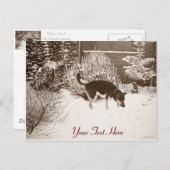 Winterschneewelt mit niedlichem Schwarz und Bräunl Postkarte (Vorne/Hinten)