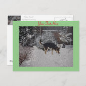 Winterschneewelt mit niedlichem Schwarz und Bräunl Postkarte (Vorne/Hinten)