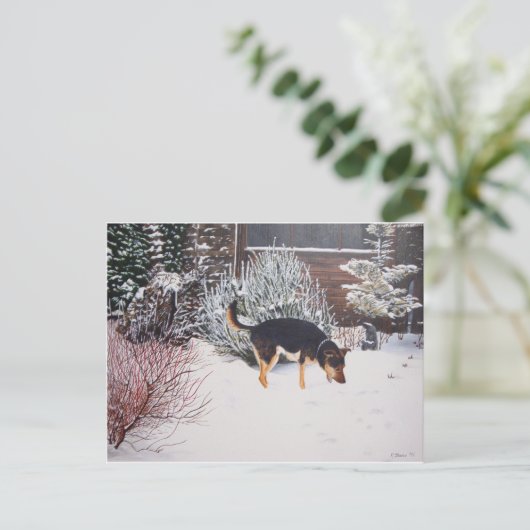 Winterschneewelt mit niedlichem Schwarz und Bräunl Postkarte (Stehend Vorderseite)