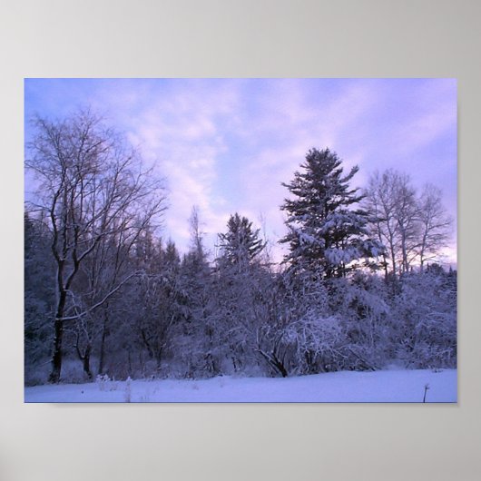 Winterschuh (4) poster (Vorne)