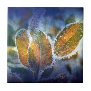 Winterschüttung Fliese