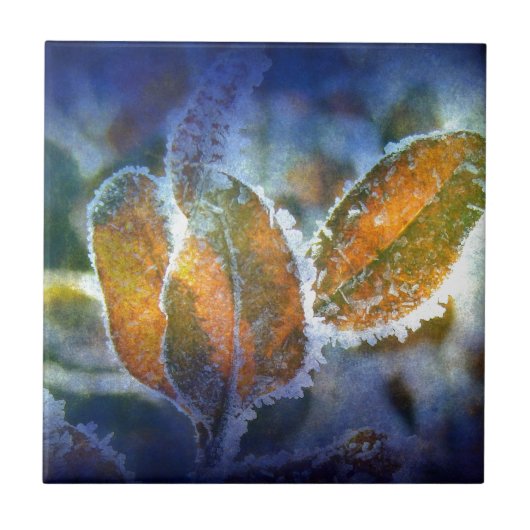 Winterschüttung Fliese (Vorderseite)