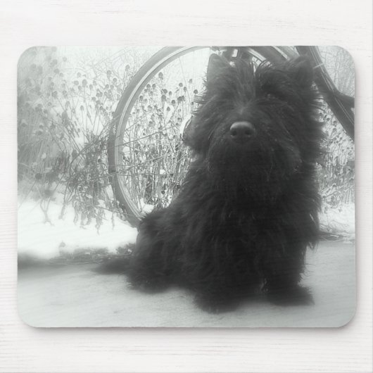 WinterScottish Terrier Mousepad (Vorne)