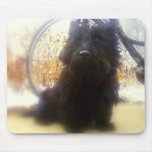 WinterScottish Terrier Mousepad (Vorne)