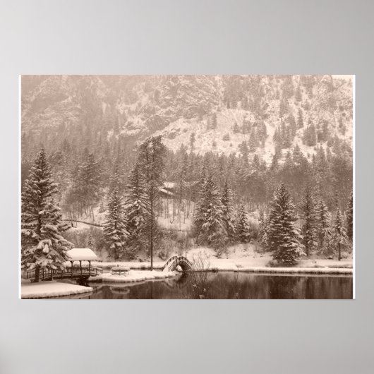 Wintersee Poster (Vorne)