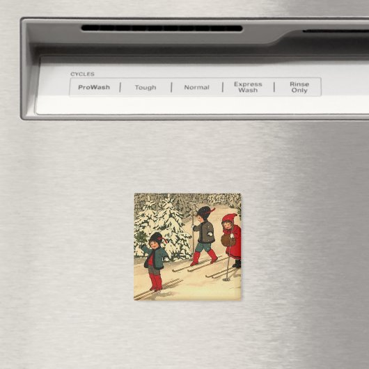 Winterski Magnet (In Situ (Geschirrspüler))