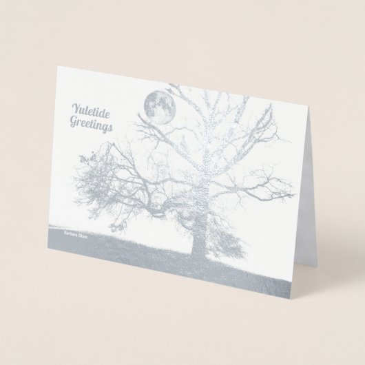 Wintersolstie: Aussichtspark, NY - Urlaub Folienkarte (Vorderseite)