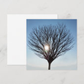 Wintersonne (Vorne/Hinten)