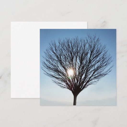 Wintersonne (Vorne/Hinten)