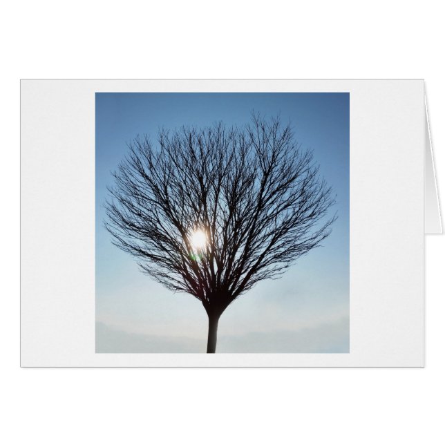 Wintersonne (Vorderseite (Horizontal))