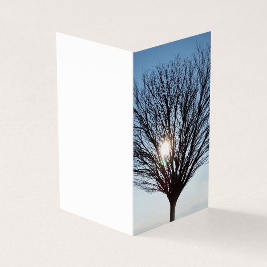 Wintersonne (Vorderseite)