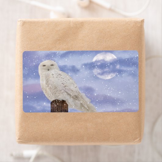 Wintersonne (Insitu)