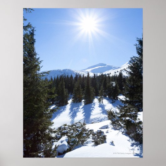 Wintersonne 5 poster (Vorne)