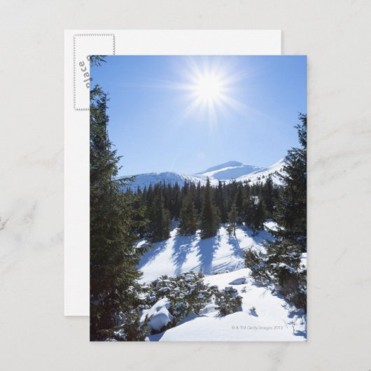 Wintersonne 5 postkarte (Vorne/Hinten)