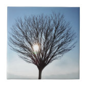 Wintersonne Fliese (Vorderseite)