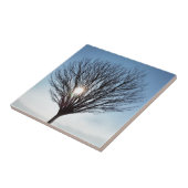 Wintersonne Fliese (Seite)