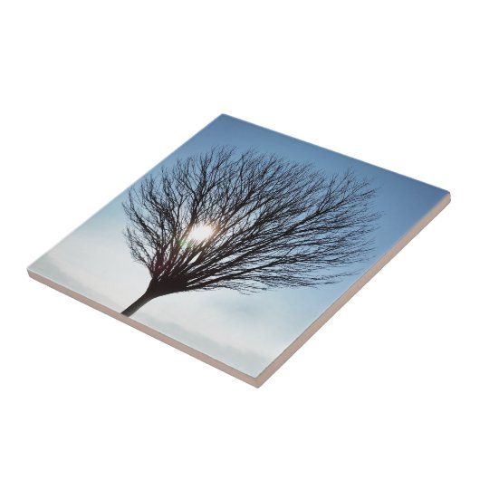 Wintersonne Fliese (Seite)