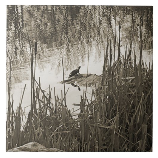 Wintersonne Fliese (Vorderseite)