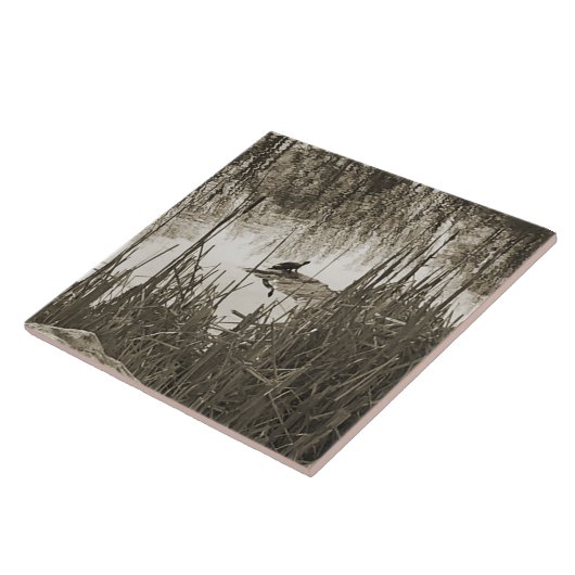 Wintersonne Fliese (Seite)