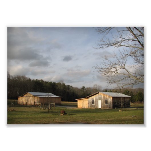Wintersonne Fotodruck (Vorne)