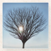 Wintersonne Glasuntersetzer (Vorderseite)