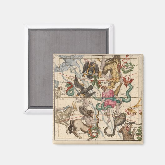 Wintersonne Magnet (Vorderseite/Rückseite)