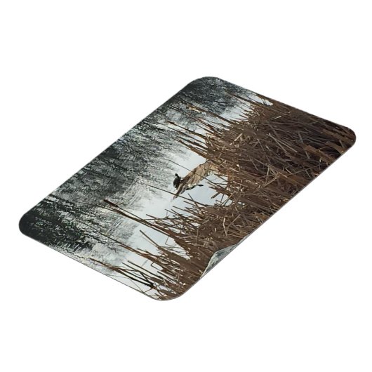 Wintersonne Magnet (Linke Seite)