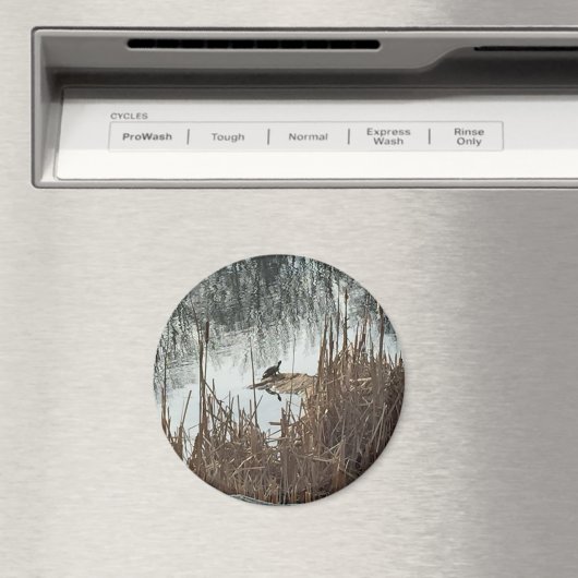 Wintersonne Magnet (In Situ (Geschirrspüler))