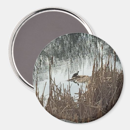 Wintersonne Magnet (Vorderseite/Rückseite)