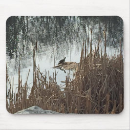 Wintersonne Mousepad