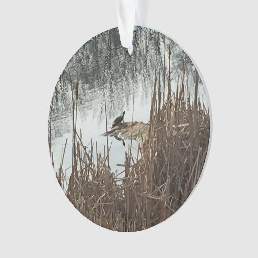 Wintersonne Ornament (Vorderseite)