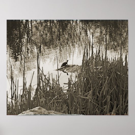 Wintersonne Poster (Vorne)