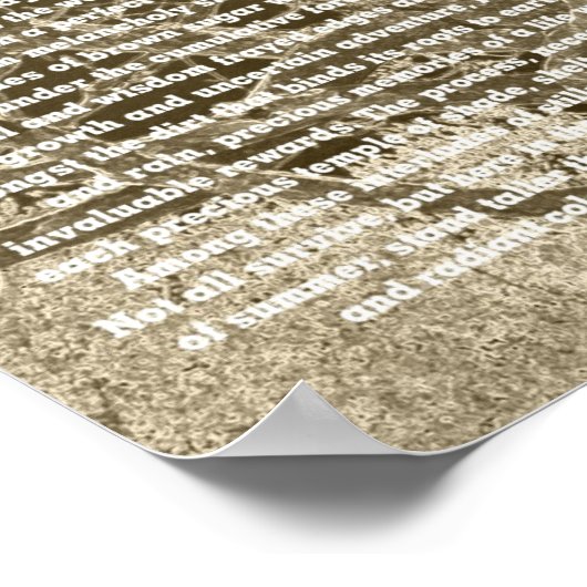 Wintersonne Poster (Ecke)