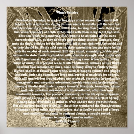 Wintersonne Poster (Vorne)