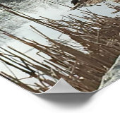 Wintersonne Poster (Ecke)