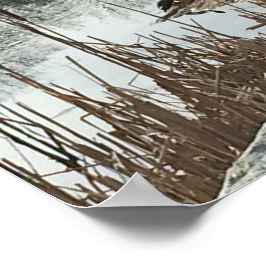 Wintersonne Poster (Ecke)