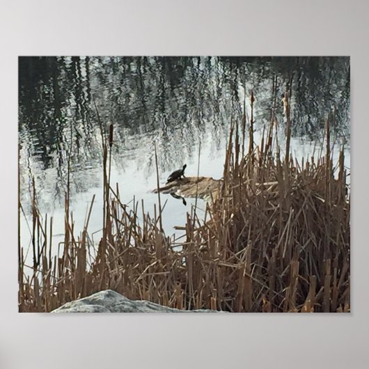 Wintersonne Poster (Vorne)