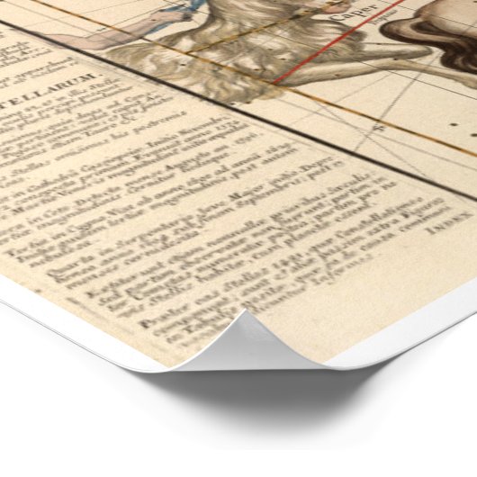 Wintersonne Poster (Ecke)