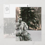 Wintersonne Postkarte (Vorne/Hinten)