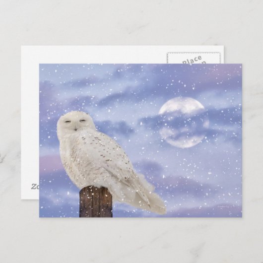 Wintersonne Postkarte (Vorne/Hinten)